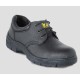 Zapato de Seguridad Puelche 1 TP 3010 N 