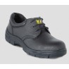 Zapato de Seguridad Puelche 1 TP 3010 N 