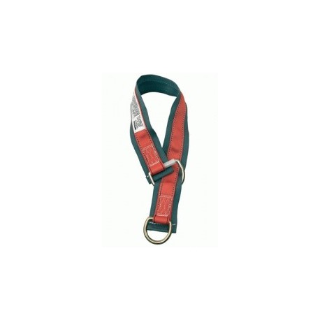 Adaptador de Anclaje 2 Argollas Cinta 1,8mts Pro™ AJ450A6